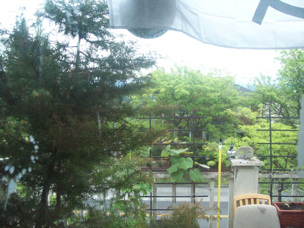 View from the window