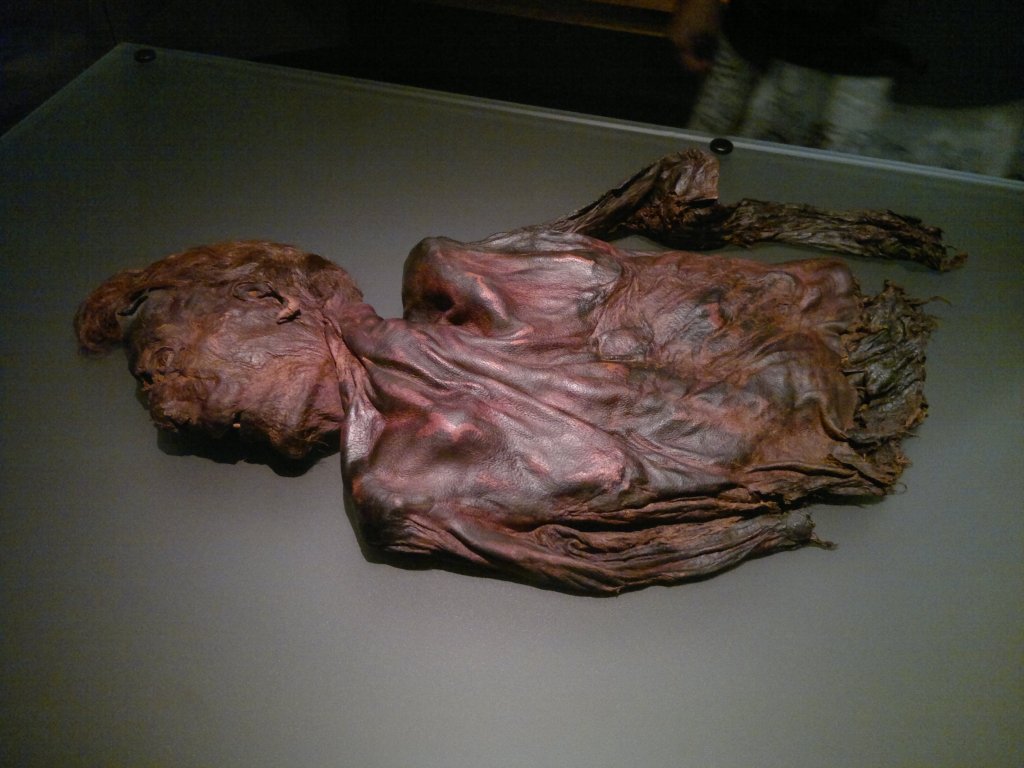 Bog-body_Clonycavan-Man