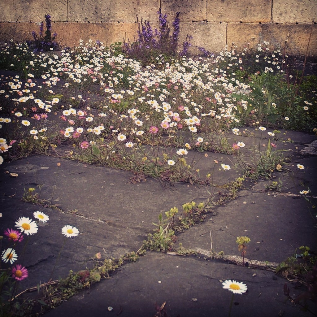 InstagramCapture_1fab3dbd-a931-4ca8-8784-3efbec4cc7df