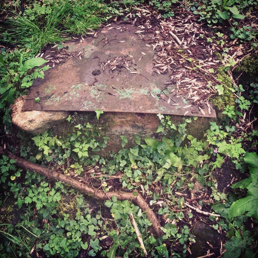 InstagramCapture_3a639d84-0a7c-42d8-833f-cc2ce9f1e5ce