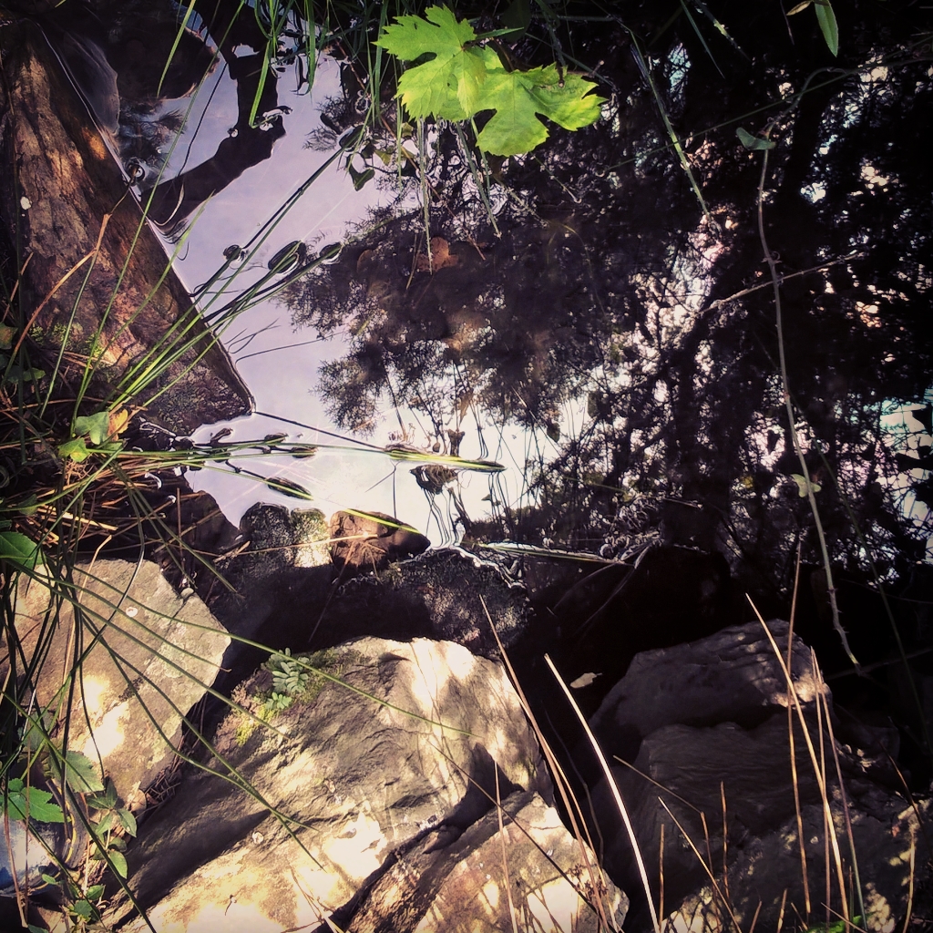 InstagramCapture_51192657-176d-4219-ac58-b913f88799aa